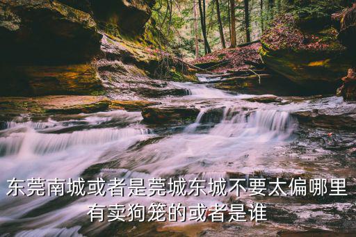 東莞南城或者是莞城東城不要太偏哪里有賣狗籠的或者是誰