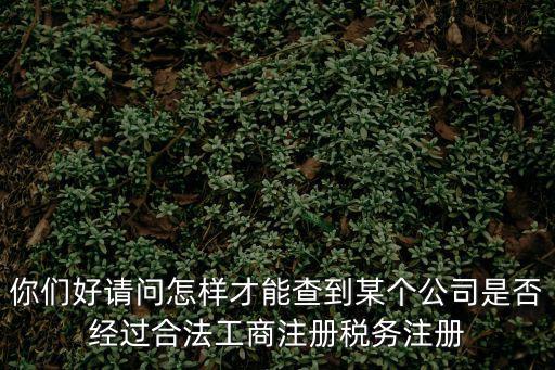 你們好請問怎樣才能查到某個公司是否經過合法工商注冊稅務注冊