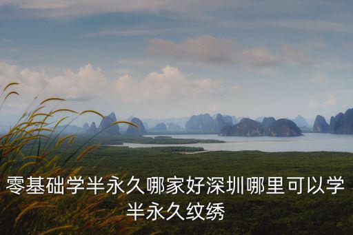 零基礎學半永久哪家好深圳哪里可以學半永久紋繡