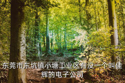 東莞市東坑鎮(zhèn)小塘工業(yè)區(qū)有沒(méi)一個(gè)叫佳輝的電子公司