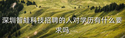 深圳智蛙科技招聘的人對學歷有什么要求嗎