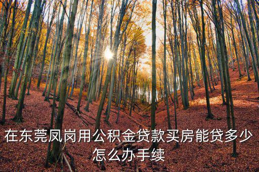 東莞鳳崗高利貸，東莞鳳崗有捷信貨款嗎