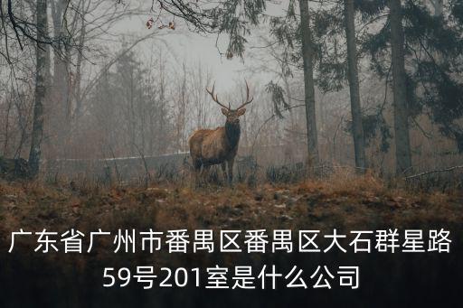 廣東省廣州市番禺區(qū)番禺區(qū)大石群星路59號201室是什么公司
