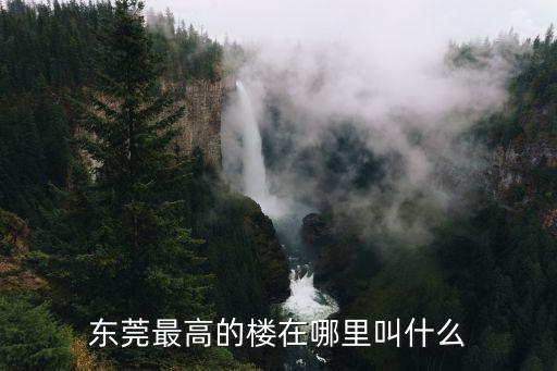 東莞最高的樓在哪里叫什么
