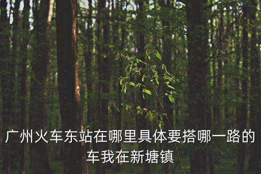 廣州新塘火車東站，新塘怎么坐車去廣州東火車站