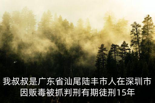 我叔叔是廣東省汕尾陸豐市人在深圳市因販毒被抓判刑有期徒刑15年