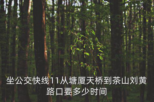 坐公交快線11從塘廈天橋到茶山劉黃路口要多少時間