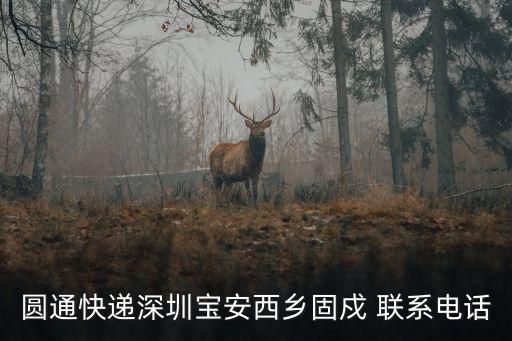 圓通快遞深圳寶安西鄉(xiāng)固戍 聯(lián)系電話