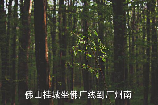 佛山桂城坐佛廣線到廣州南