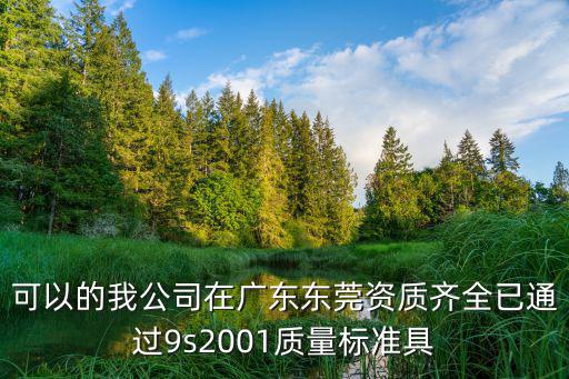 可以的我公司在廣東東莞資質齊全已通過9s2001質量標準具