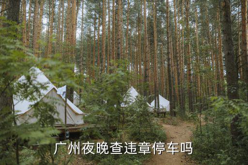 廣州開車晚上兜風路線，我想開車兜風不知道哪條路最適合朋友指點一下
