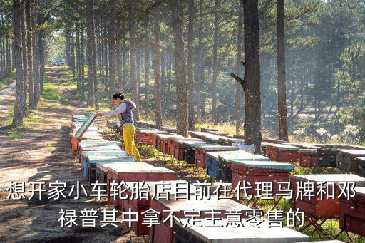 想開家小車輪胎店目前在代理馬牌和鄧祿普其中拿不定主意零售的
