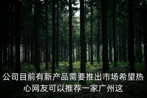 公司目前有新產品需要推出市場希望熱心網友可以推薦一家廣州這