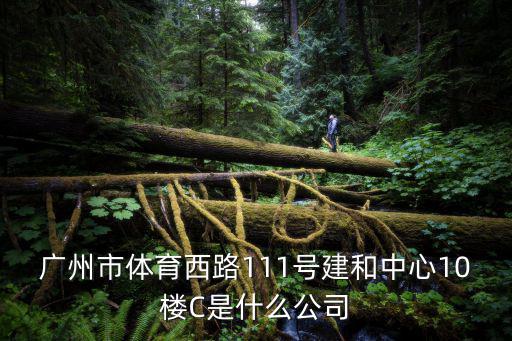 廣州市體育西路111號建和中心10樓C是什么公司