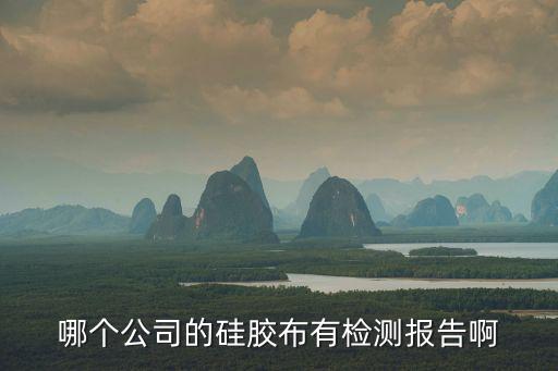 廣州市連承復(fù)合材料有限公司，哪個公司的硅膠布有檢測報告啊