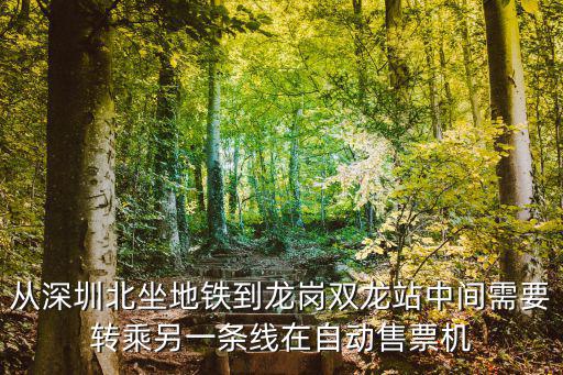 深圳北到雙龍地鐵，從深圳北坐地鐵到龍崗雙龍站中間需要轉(zhuǎn)乘另一條線在自動(dòng)售票機(jī)