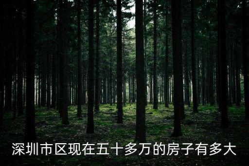 深圳市區現在五十多萬的房子有多大