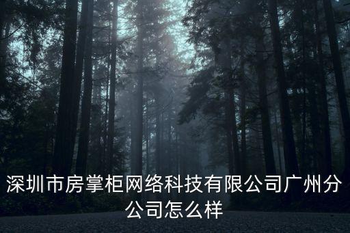 深圳市房掌柜網(wǎng)絡(luò)科技有限公司廣州分公司怎么樣