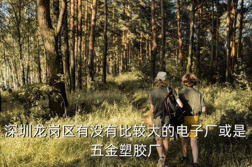深圳龍崗塑膠廠，請問在深圳龍崗坪地這邊有哪些塑膠廠有的話請把地址或者電話發(fā)