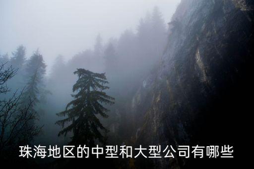 珠海地區的中型和大型公司有哪些
