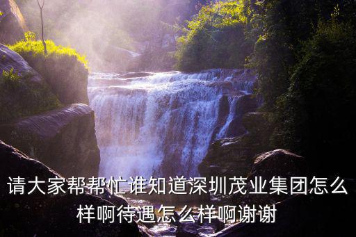 請(qǐng)大家?guī)蛶兔φl知道深圳茂業(yè)集團(tuán)怎么樣啊待遇怎么樣啊謝謝