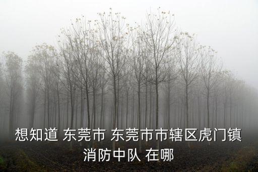 想知道 東莞市 東莞市市轄區虎門鎮消防中隊 在哪