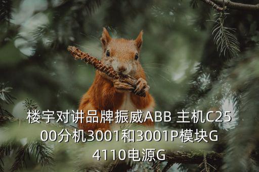 樓宇對講品牌振威ABB 主機C2500分機3001和3001P模塊G4110電源G