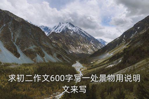 求初二作文600字寫一處景物用說明文來寫