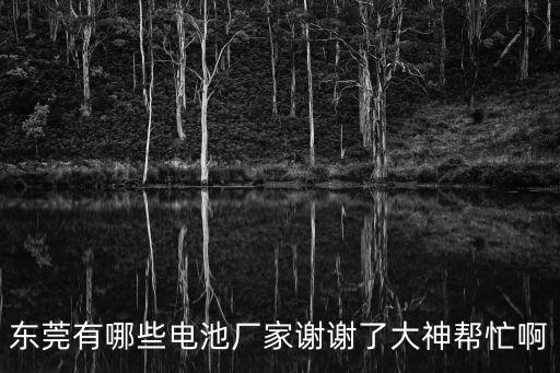 東莞有哪些電池廠家謝謝了大神幫忙啊