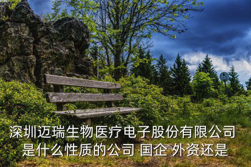 深圳邁瑞生物醫(yī)療電子股份有限公司 是什么性質(zhì)的公司 國企 外資還是