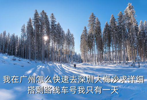 廣州到大梅沙，從廣州到深圳大梅沙有怎樣走