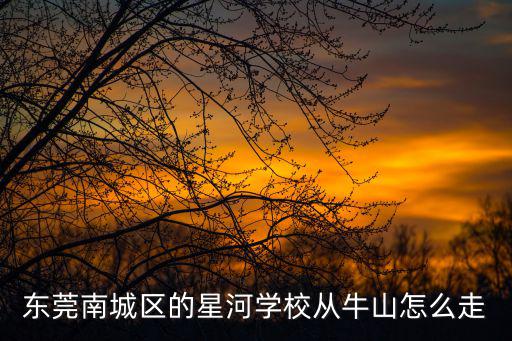 東莞南城區的星河學校從牛山怎么走