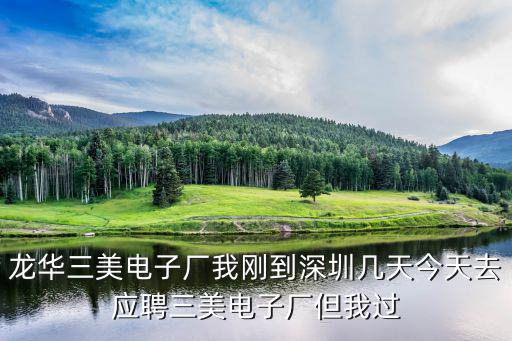 龍華三美電子廠我剛到深圳幾天今天去應(yīng)聘三美電子廠但我過