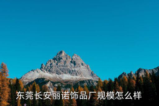 東莞長安麗諾飾品廠規模怎么樣
