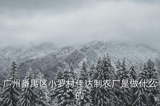 廣州番禺區小羅村佳達制衣廠是做什么的