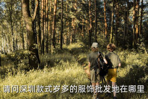 請問深圳款式歲多的服飾批發地在哪里