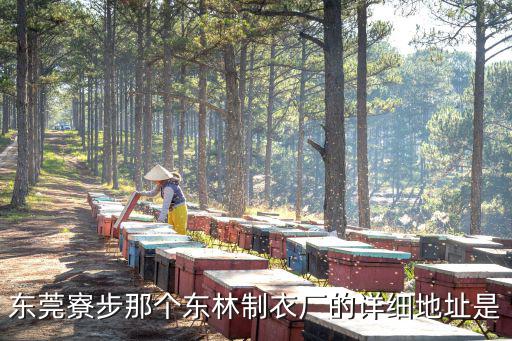 東莞寮步那個東林制衣廠的詳細地址是