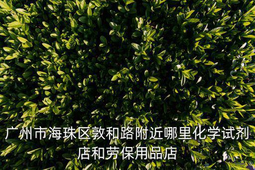 廣州市海珠區敦和路附近哪里化學試劑店和勞保用品店
