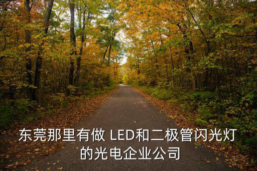 東莞宇光光電，東莞那里有做 LED和二極管閃光燈 的光電企業(yè)公司
