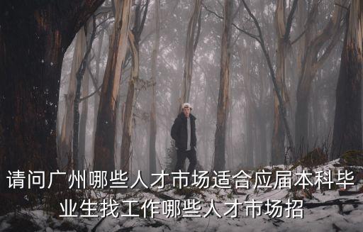 請(qǐng)問(wèn)廣州哪些人才市場(chǎng)適合應(yīng)屆本科畢業(yè)生找工作哪些人才市場(chǎng)招