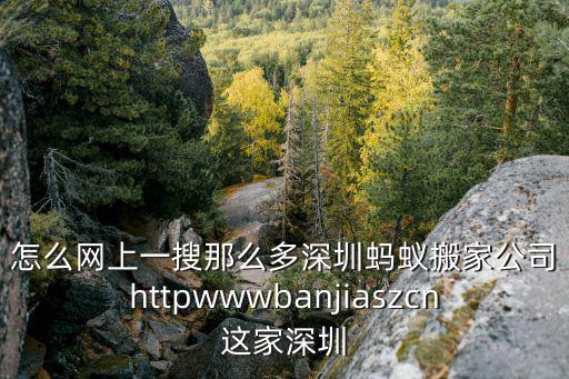 怎么網上一搜那么多深圳螞蟻搬家公司httpwwwbanjiaszcn這家深圳