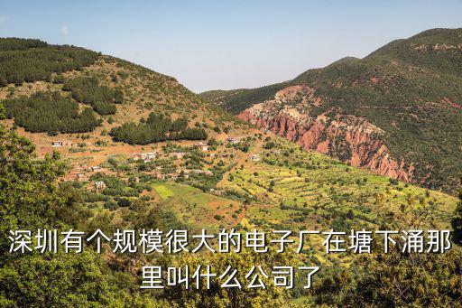 深圳有個規模很大的電子廠在塘下涌那里叫什么公司了