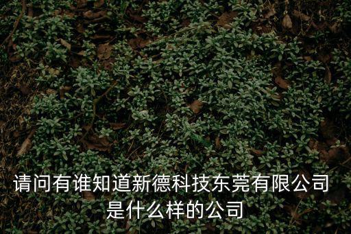 請問有誰知道新德科技東莞有限公司 是什么樣的公司