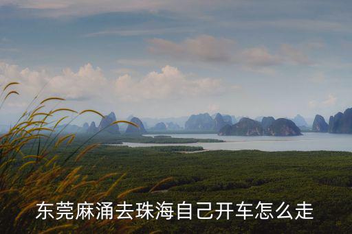 東莞麻涌去珠海自己開車怎么走