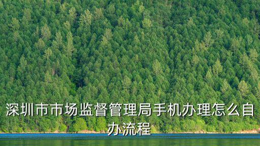 深圳市市場監督管理局手機辦理怎么自辦流程