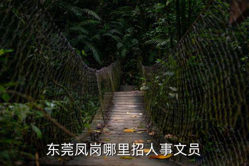 東莞鳳崗哪里招人事文員