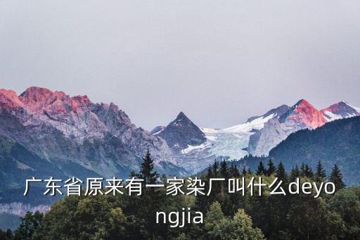 廣東省原來(lái)有一家染廠叫什么deyongjia