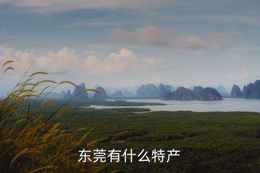 東莞有什么特產