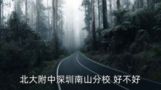 北大附中深圳南山分校 好不好
