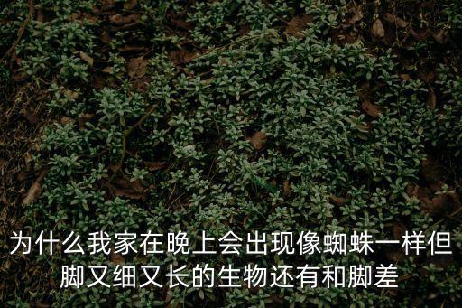 為什么我家在晚上會出現像蜘蛛一樣但腳又細又長的生物還有和腳差